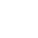 icon auto
